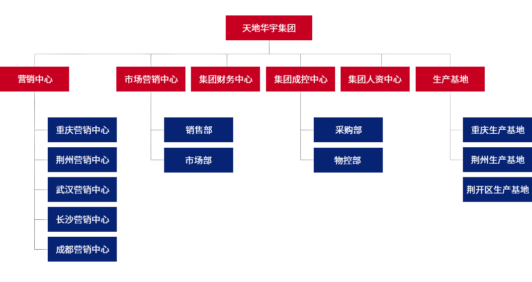 集团架构